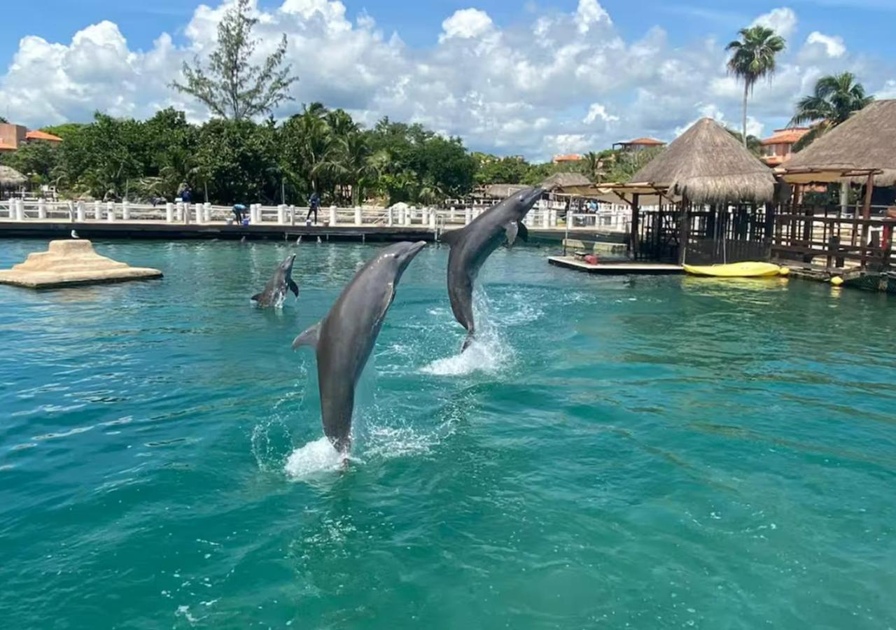 Boho Breeze Escape, Locationtop,Bohemian,Dolphinariumview,Fastwifi Пуэрто-Авентурас Экстерьер фото